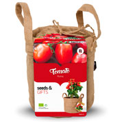 Kit de Cultura Tomates 'Roma'